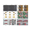 KI-stelsel lewer brilvrye 3D-stelsel